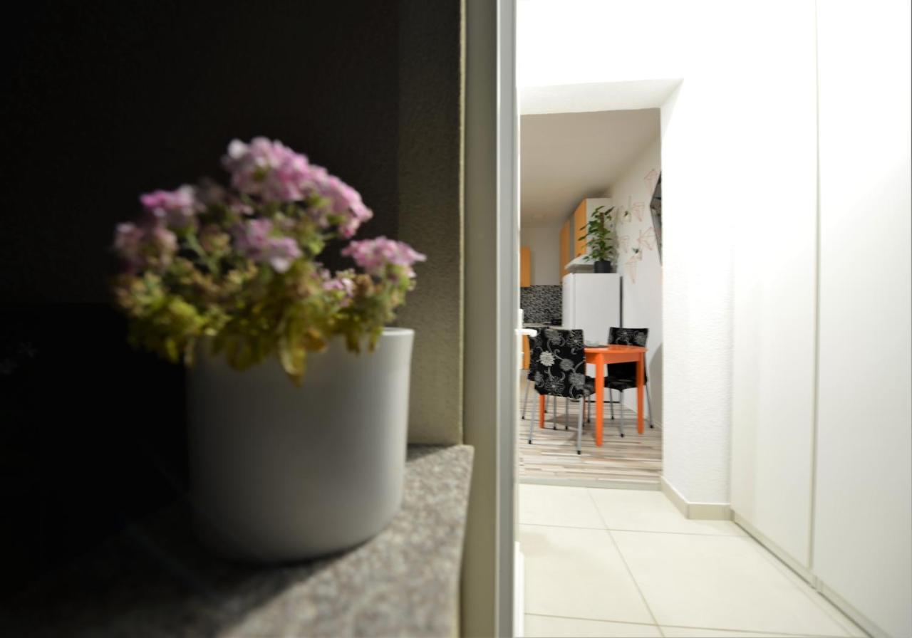 Pop&Rock Holiday House Zadar Bagian luar foto